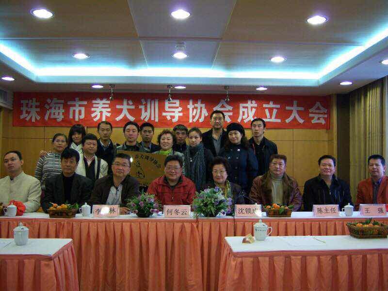 公司党书记代表大会